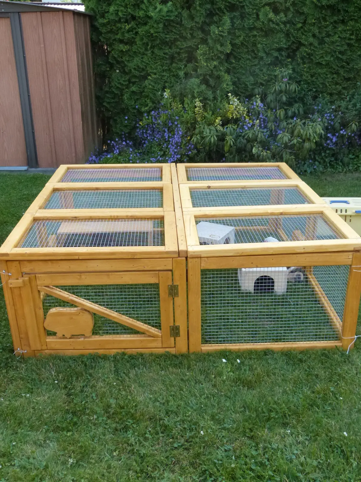 Freilaufgehege für Meerschweinchen