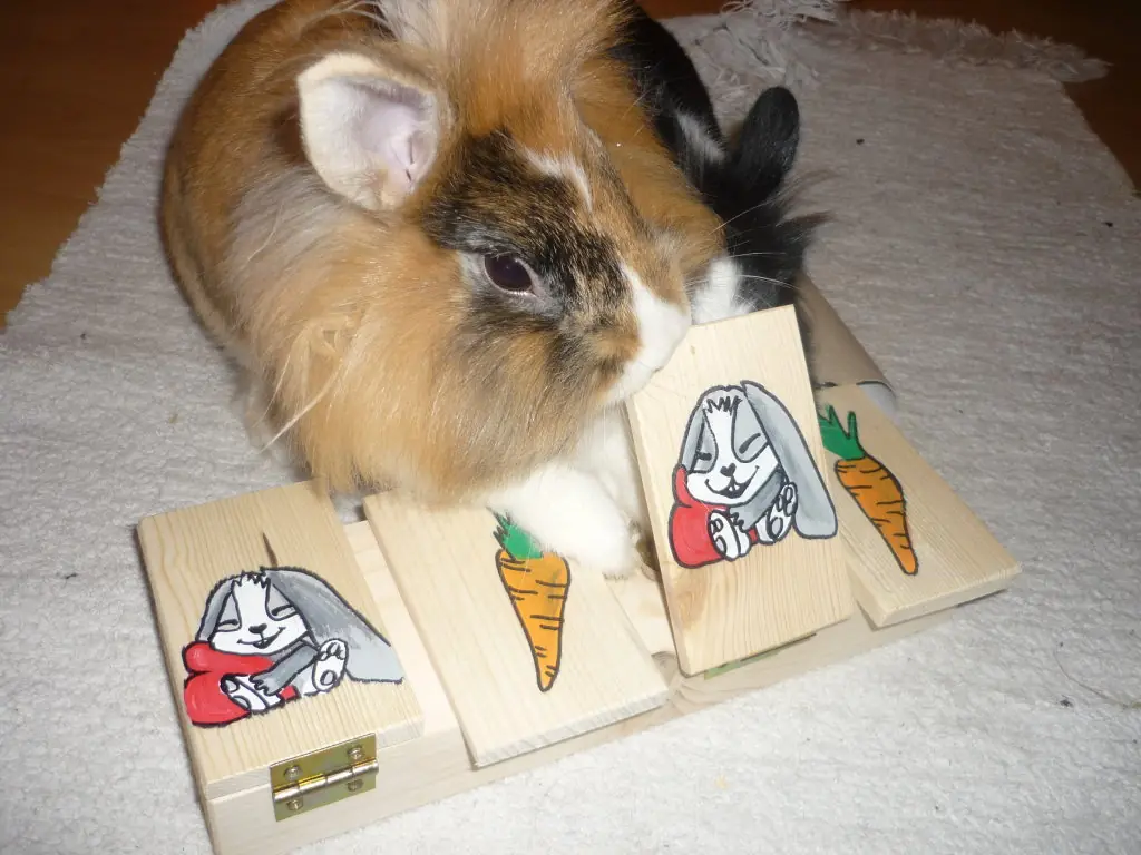 Klappi