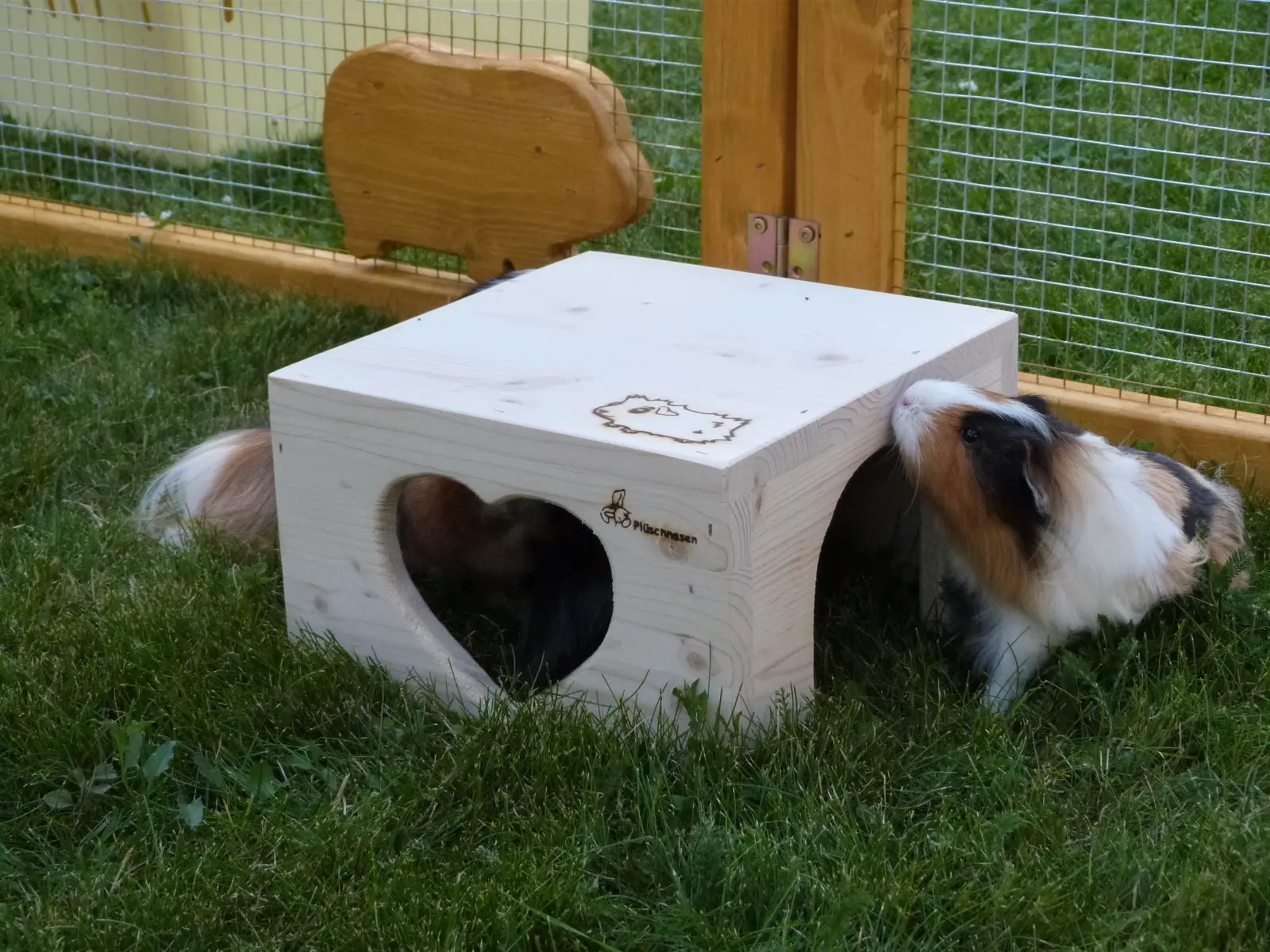 Freilaufgehege für Meerschweinchen