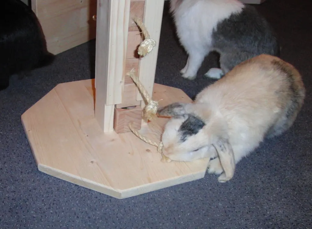 Nini Tower