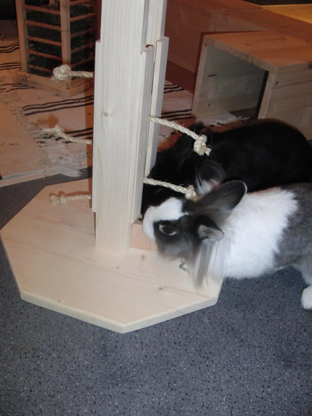 Nini Tower