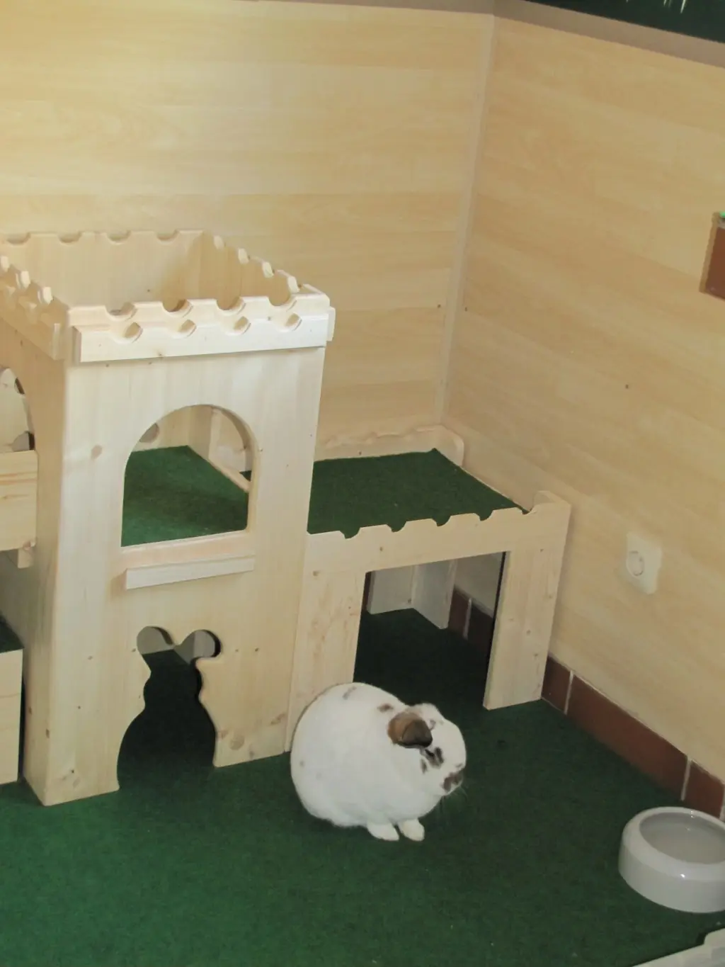 Burgturm Löwenzahn