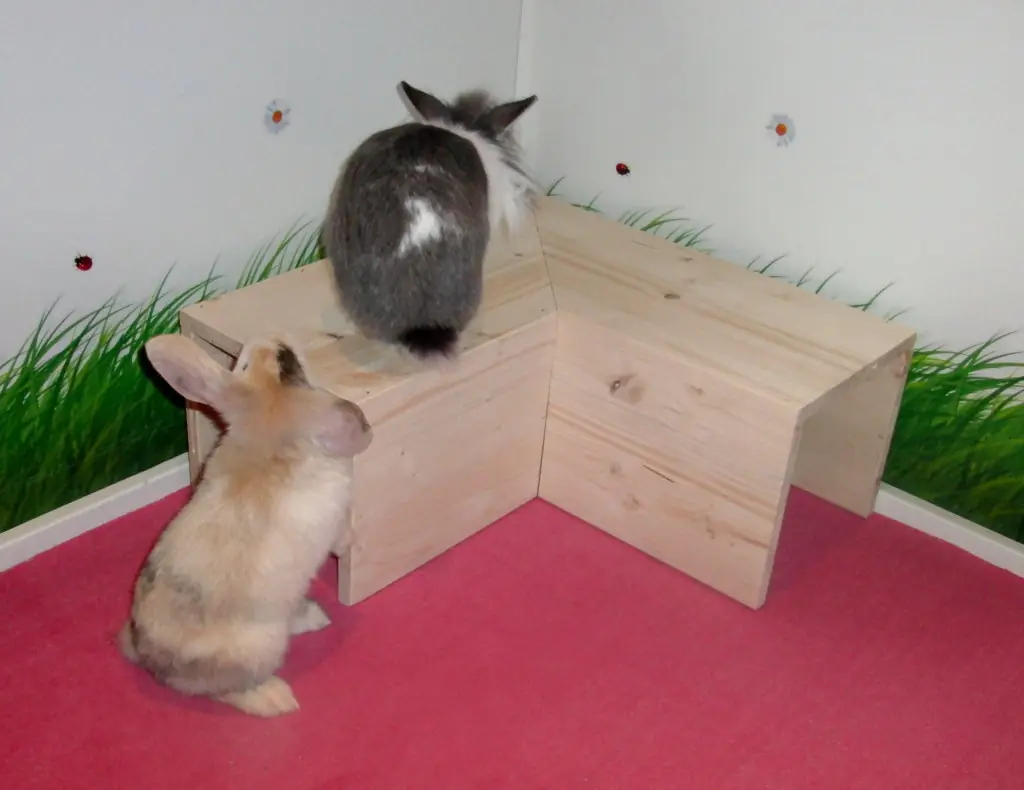 Ecke 50 cm