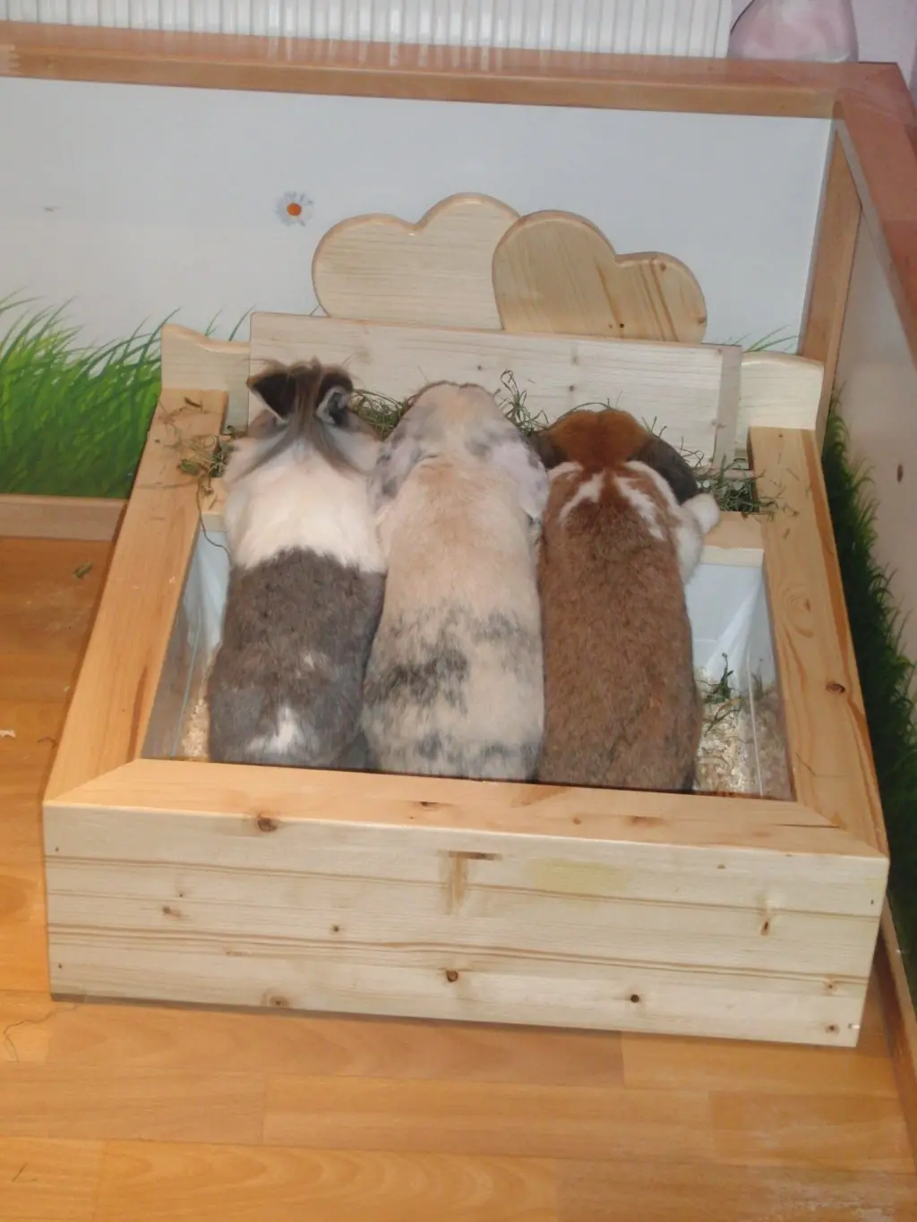 Mümmelörtchen XL Herz