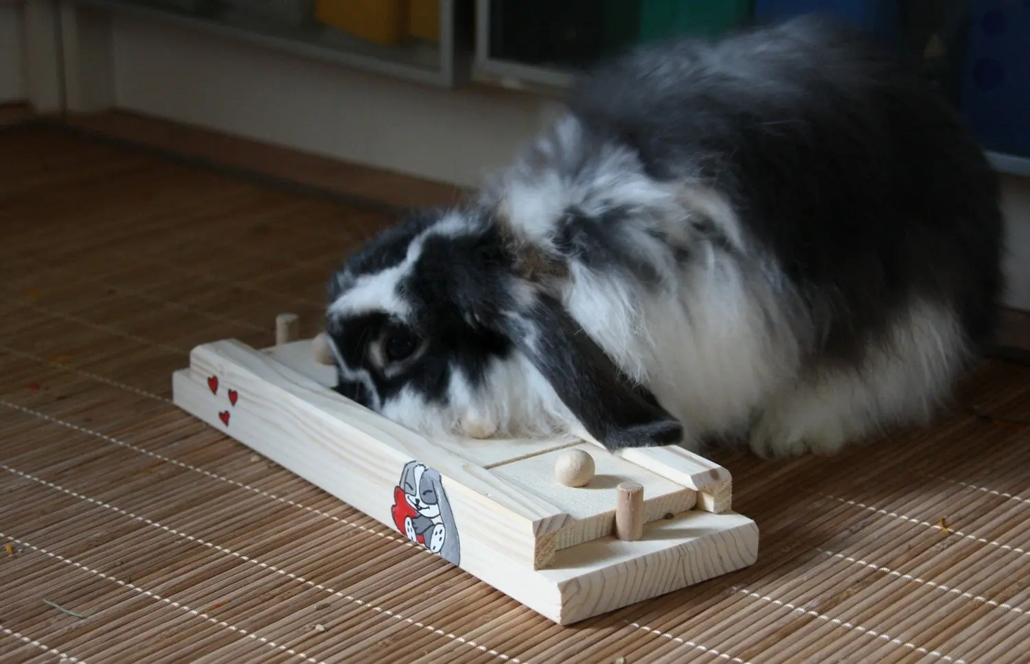 Schiebi